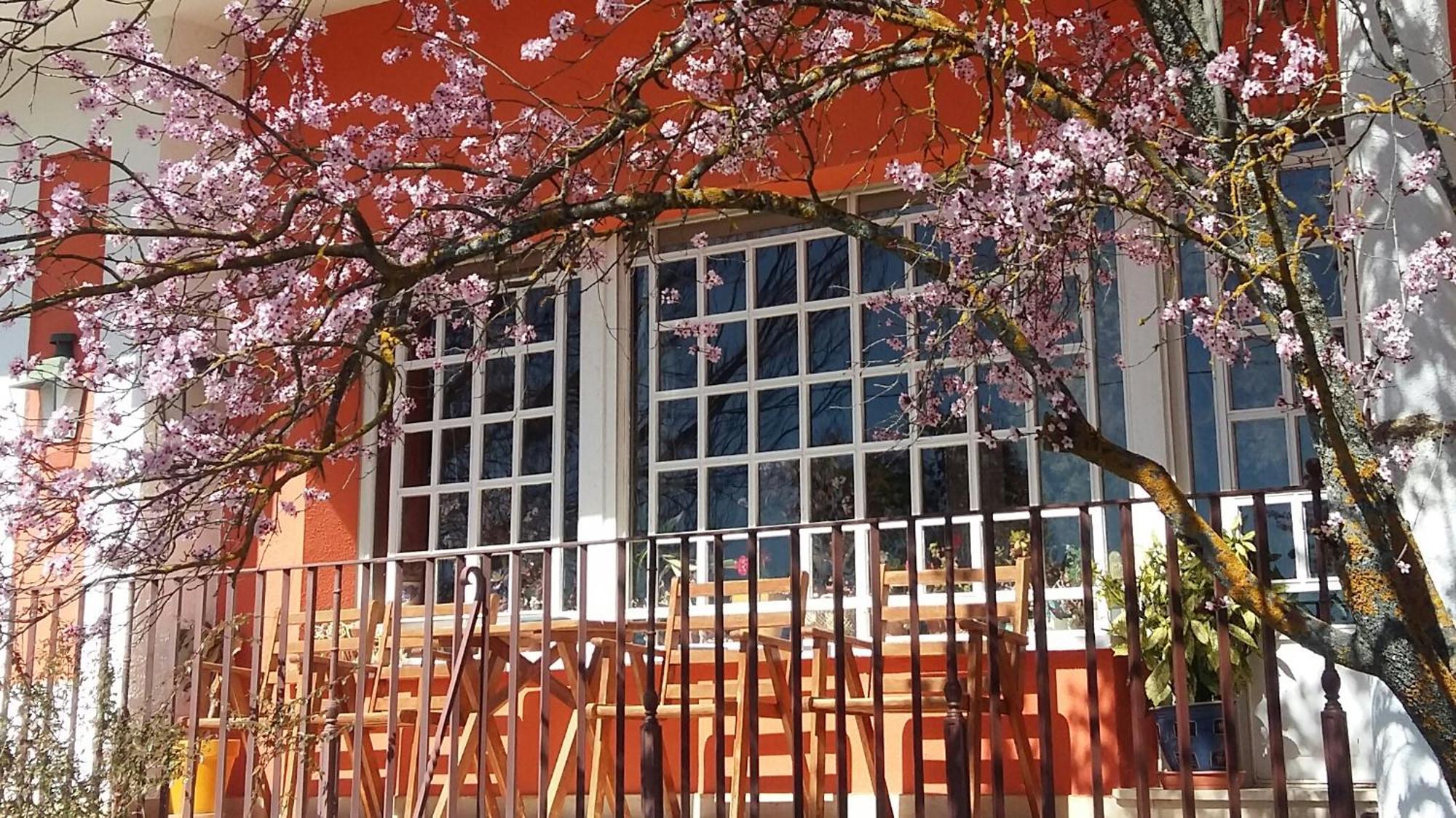 La Casa Grande De Gormaz Quintanas de Gormaz Exterior foto