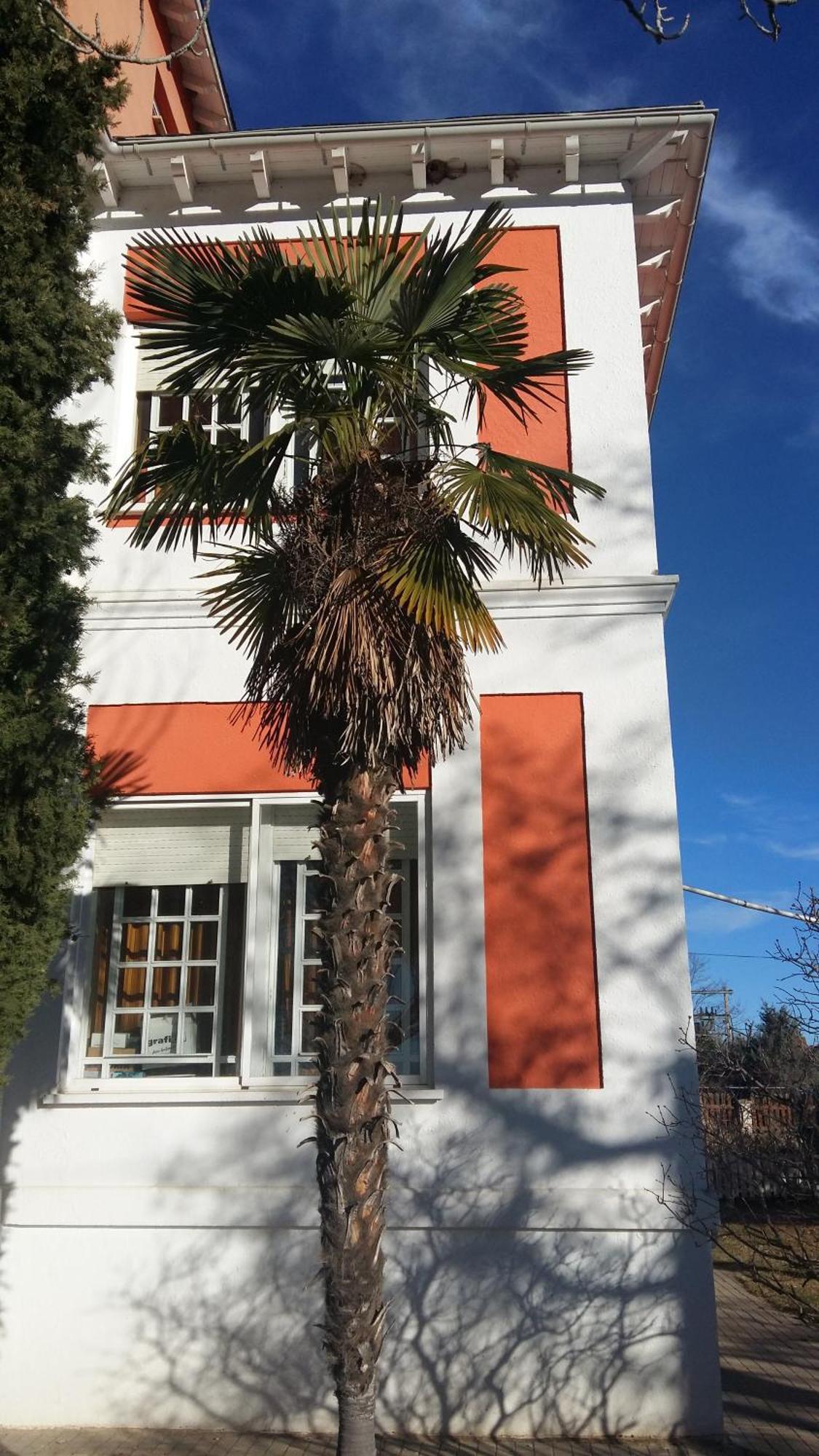 La Casa Grande De Gormaz Quintanas de Gormaz Exterior foto